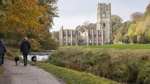 Visitors dog walking at Fountains Abbey